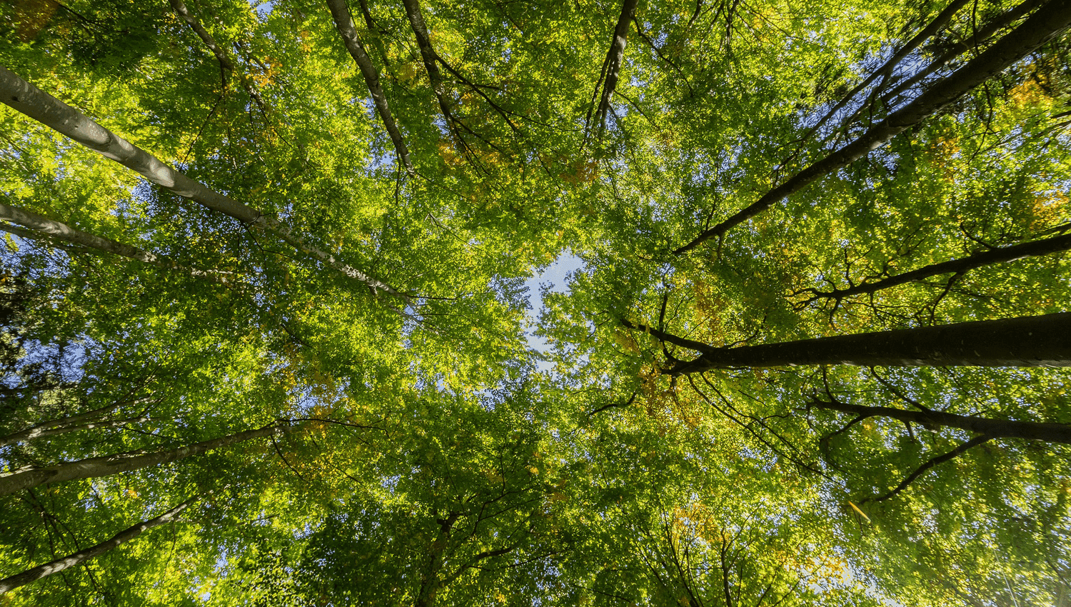 Brähler Systems – Nachhaltigkeit